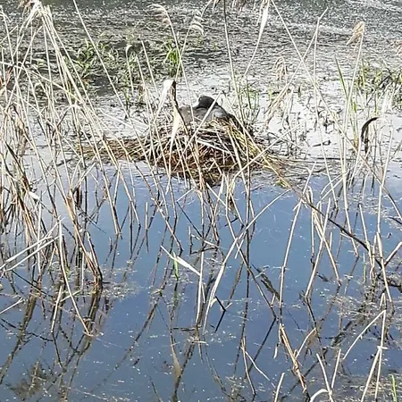 Kamot Steindorf am Ossiacher See