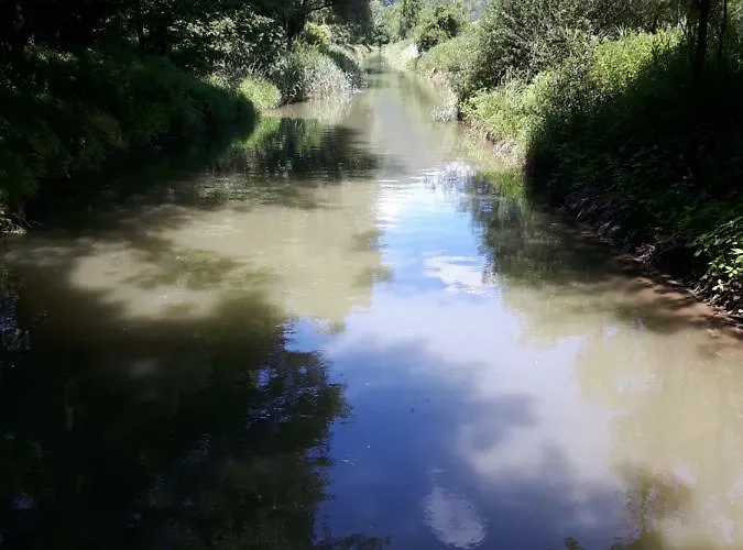 Kamot שטיינדורף אם אוסיאכר סי