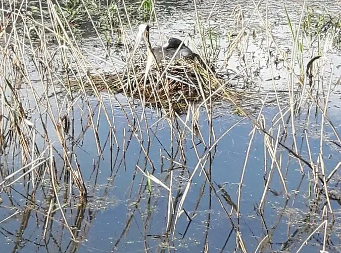 Kamot Steindorf am Ossiacher See